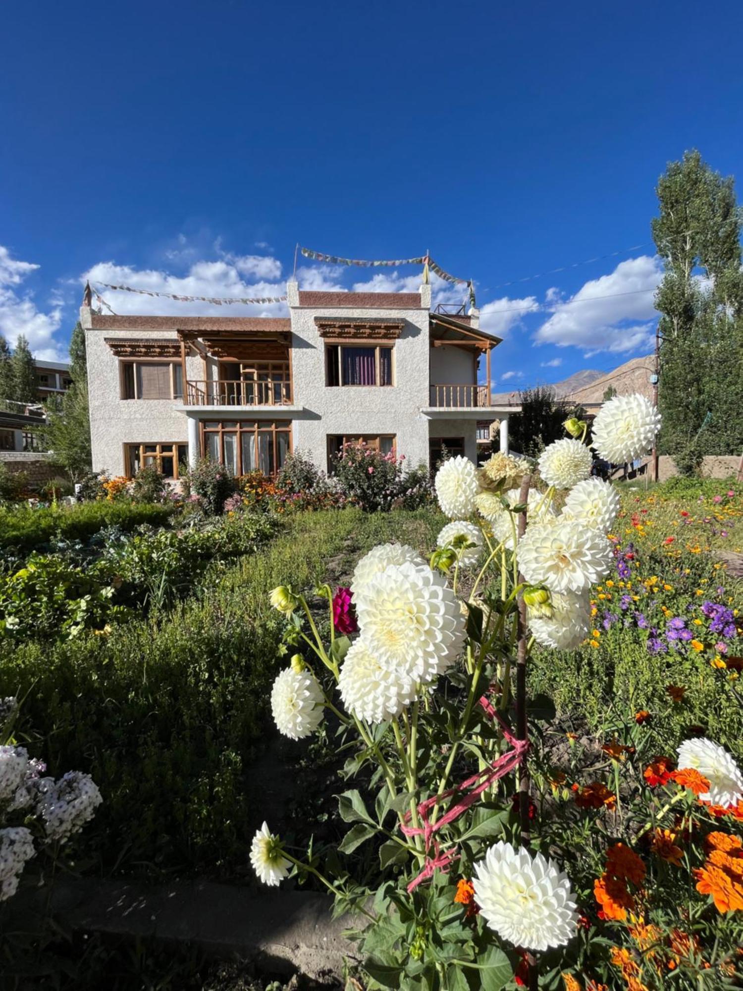 מלון לה Chakzot Garden House מראה חיצוני תמונה
