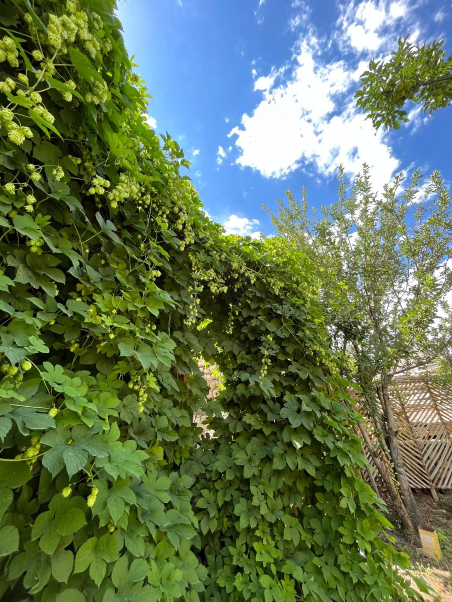 מלון לה Chakzot Garden House מראה חיצוני תמונה