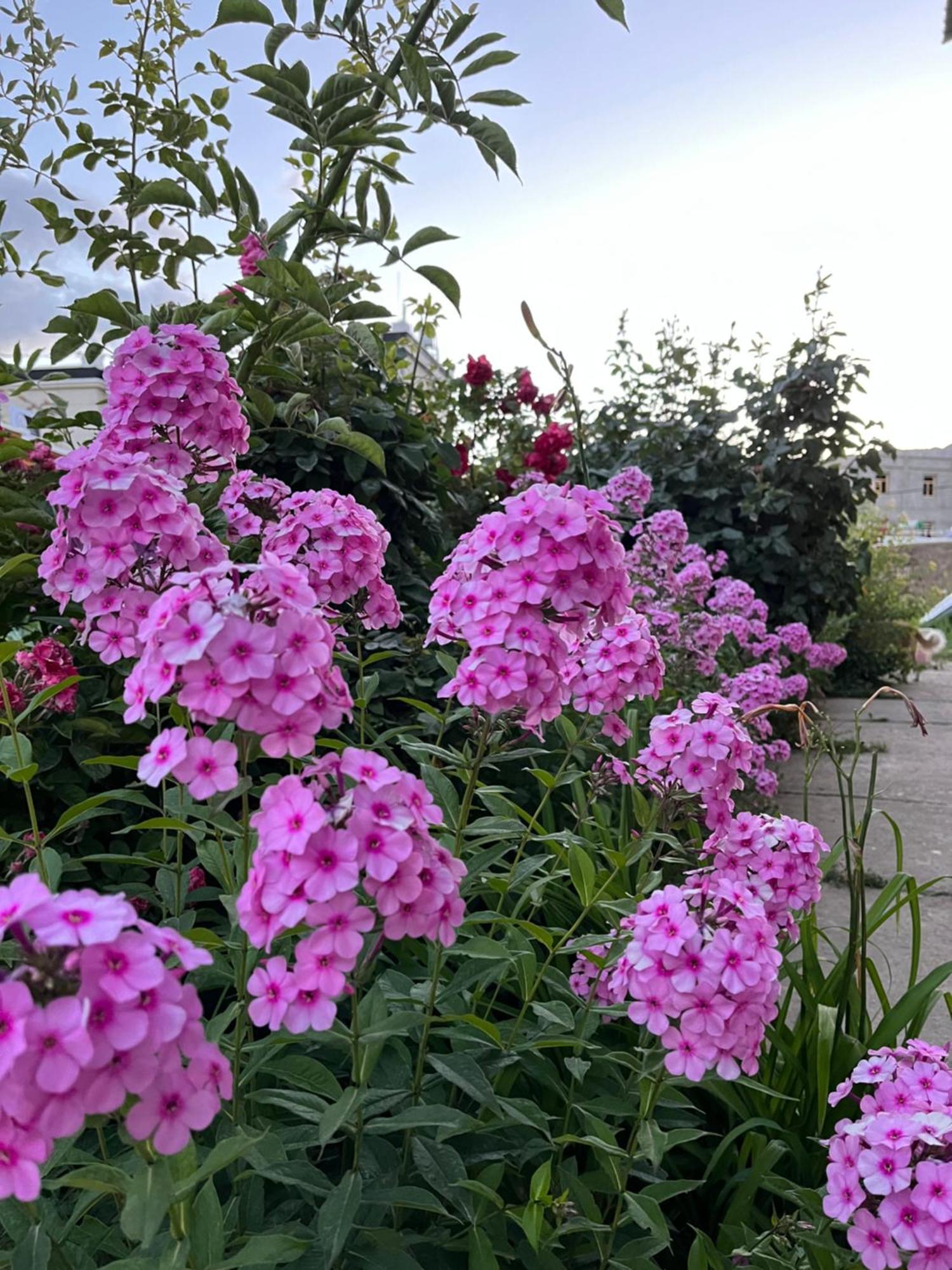 מלון לה Chakzot Garden House מראה חיצוני תמונה