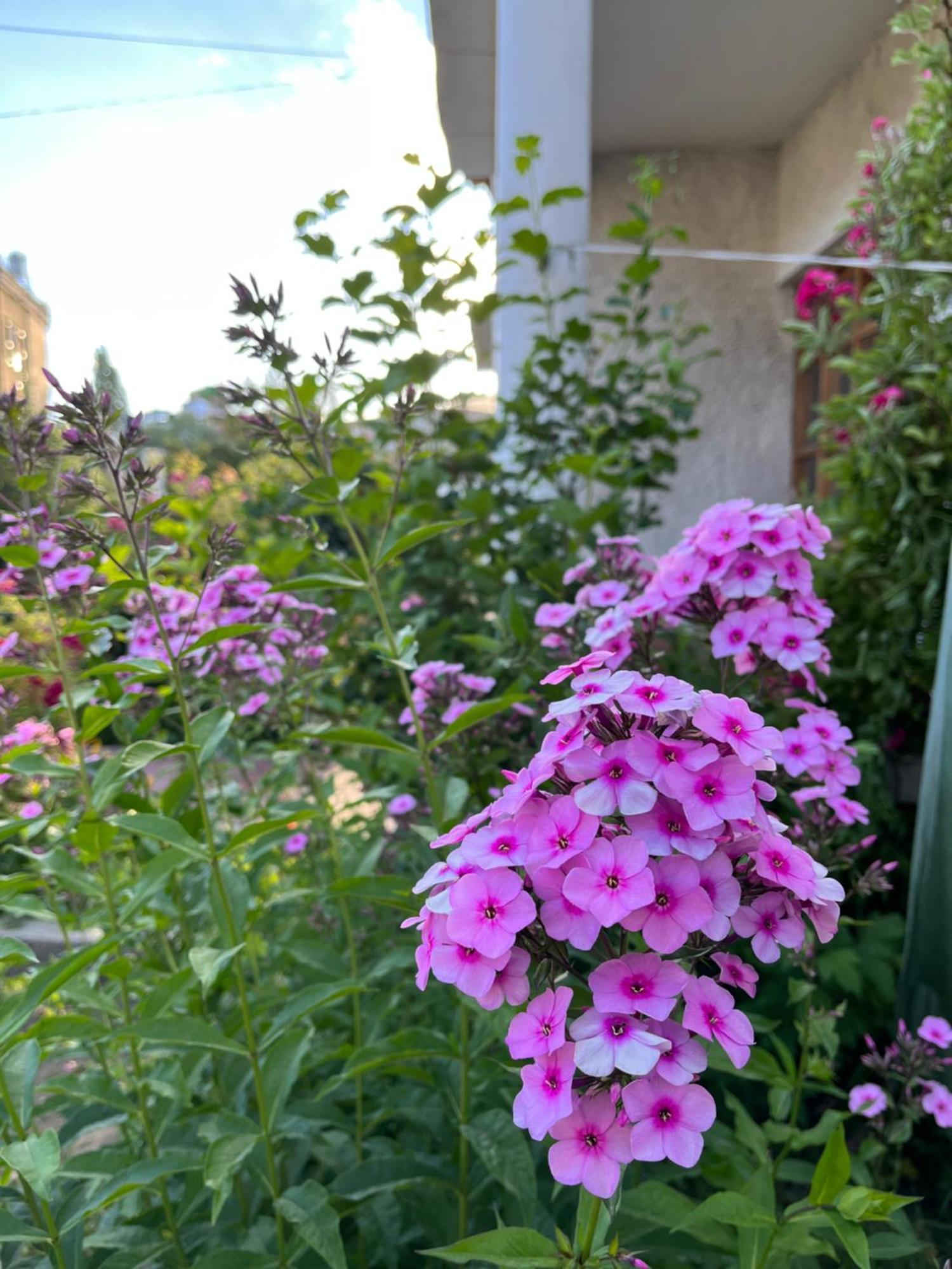 מלון לה Chakzot Garden House מראה חיצוני תמונה